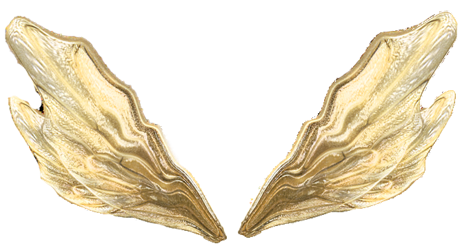 PSCS6打造绚丽春季人像海报