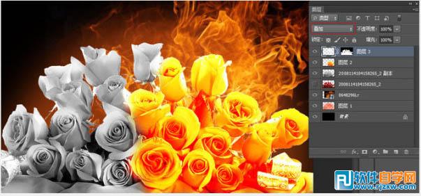 PSCS6制作烈焰中玫瑰效果教程