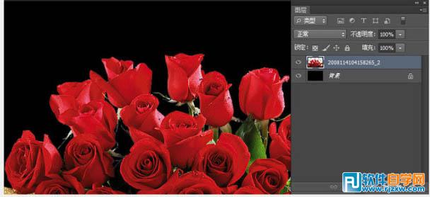 PSCS6制作烈焰中玫瑰效果教程