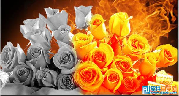 PSCS6制作烈焰中玫瑰效果教程