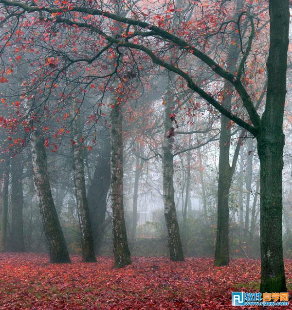 PS打造梦幻美女与风景双重曝光效果