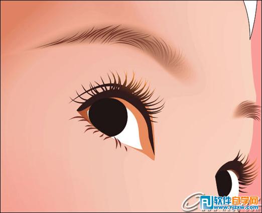 CoreldrawX7打造古典美女教程