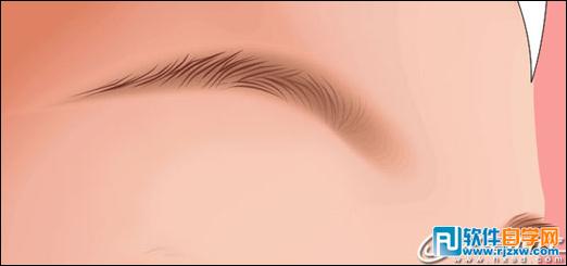 CoreldrawX7打造古典美女教程