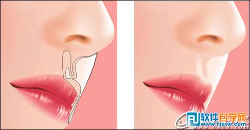 CoreldrawX7打造古典美女教程