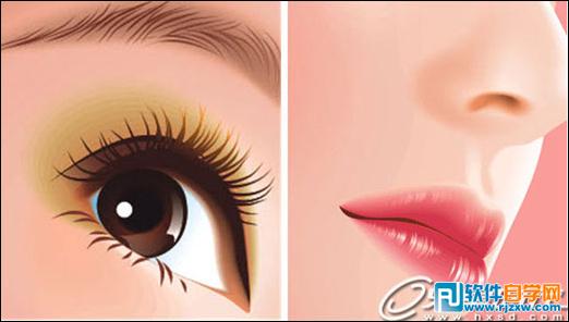 CoreldrawX7打造古典美女教程