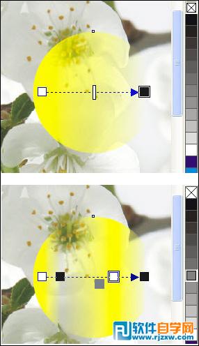 CoreldrawX7打造古典美女教程