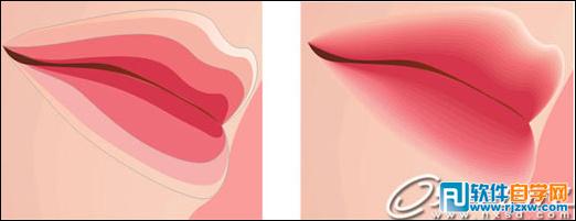 CoreldrawX7打造古典美女教程