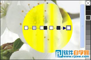 CoreldrawX7打造古典美女教程