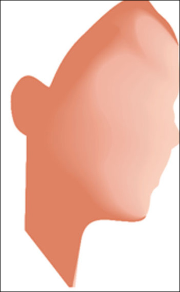 CoreldrawX7打造古典美女教程