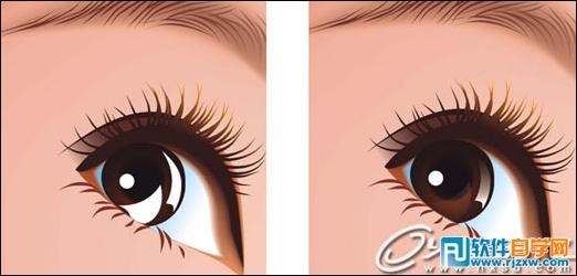 CoreldrawX7打造古典美女教程