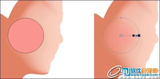 CoreldrawX7打造古典美女教程