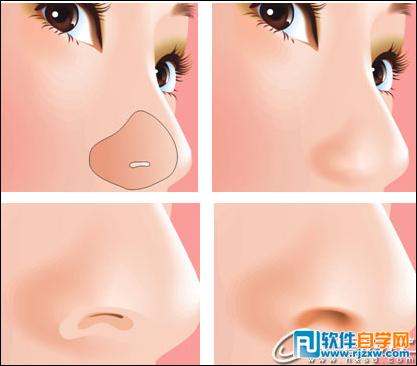 CoreldrawX7打造古典美女教程