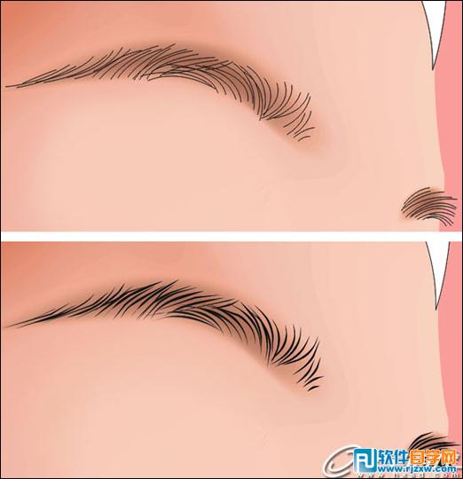 CoreldrawX7打造古典美女教程