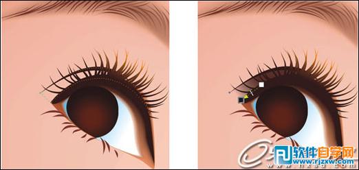 CoreldrawX7打造古典美女教程