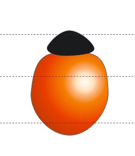 使用CDR临摹绘制精致的瓢虫