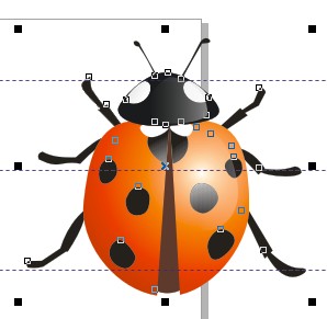 使用CDR临摹绘制精致的瓢虫