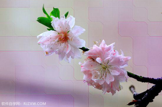 PS如何快速给照片加上不规则的小方框