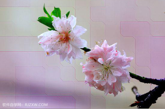 PS如何快速给照片加上不规则的小方框