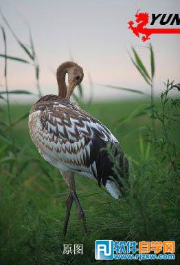 PS简单三步把灰蒙蒙照片调清晰教程