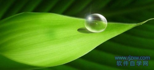 用PS手绘叶子上面晶莹透明的水珠