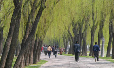 Photoshop用蒙版无痕合成美女照片