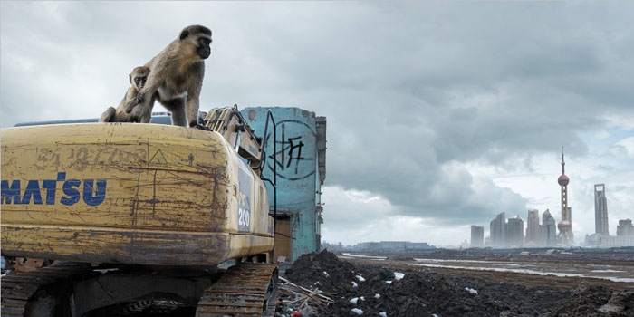 用Photoshop制作保护环境的宣传海报