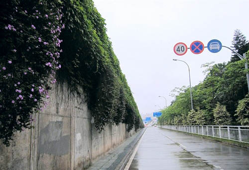 Photoshop制作非主流色调的图片