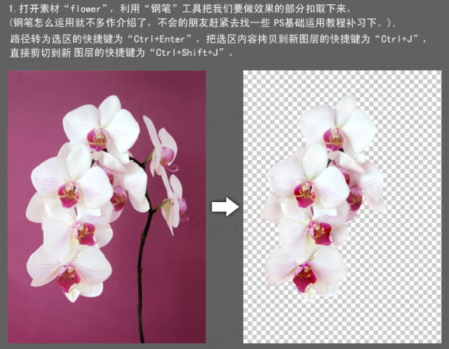 用Photoshop合成牛奶和鲜花图片实例教程