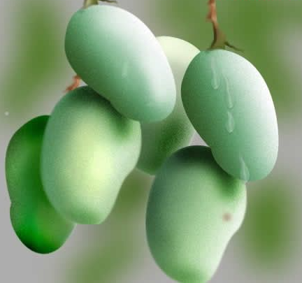 用Photoshop绘制芒果水果实例