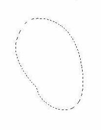 用Photoshop绘制芒果水果实例