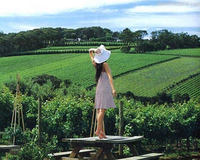 教你用Photoshop打造性个非主流色彩照片