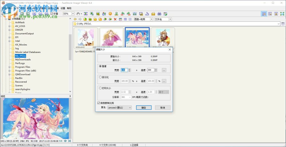 FastStone Image Viewer调整图片尺寸大小的方法