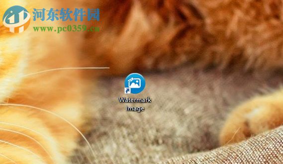 TSR Watermark Image设置界面语言和水印的方法