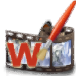 Video Watermark Maker设置输出格式的方法