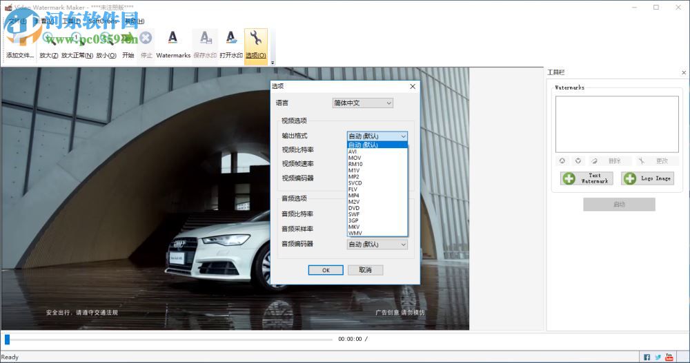 Video Watermark Maker设置输出格式的方法