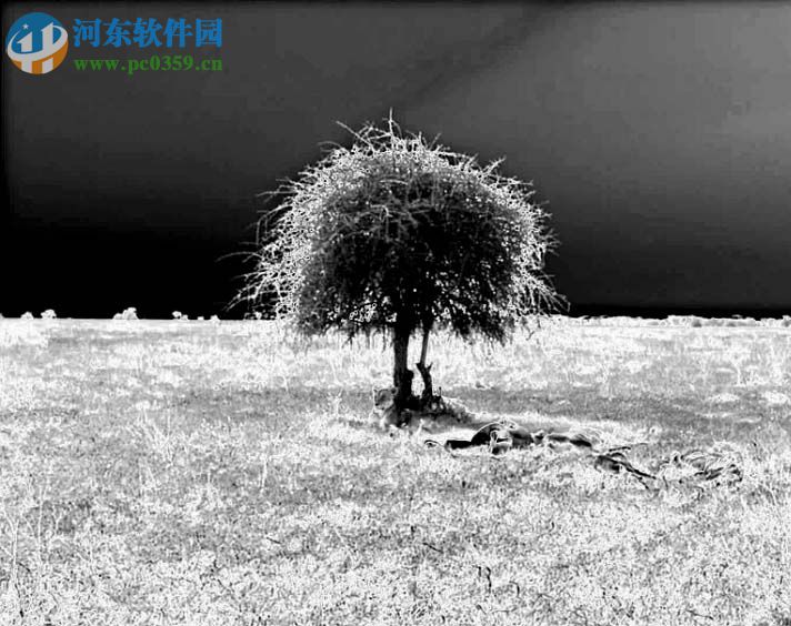 premiere制作垂直定格和提取效果的方法