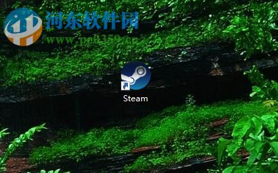 steam开启或关闭全屏的方法