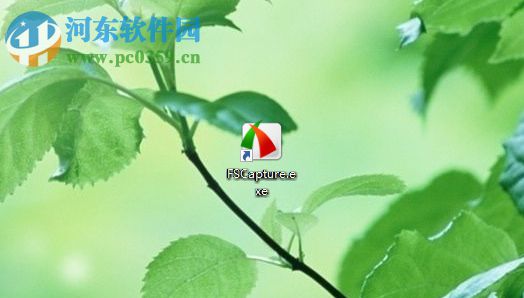 解决FastStone Capture截图模糊的方法