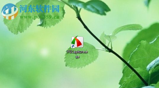 faststone capture自动添加水印的设置方法