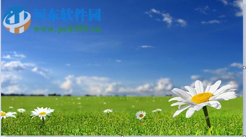 搜狗壁纸怎么删除已下载的图片