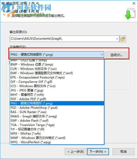 Snagit转换图像格式的方法