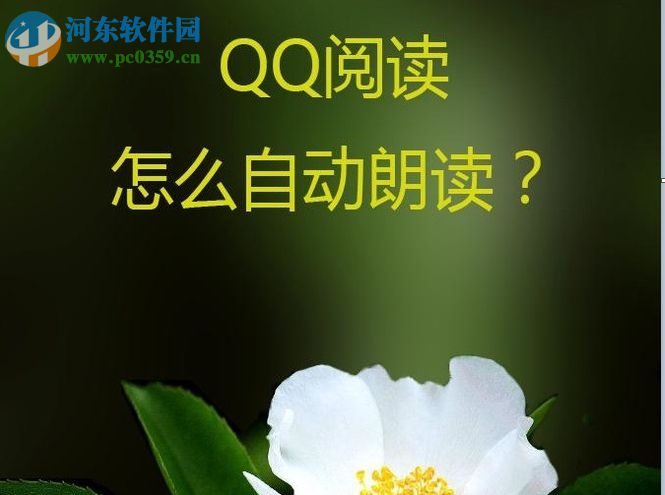 qq阅读设置自动朗读功能的方法