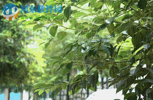 ae下雨特效的制作教程