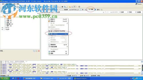 Heidisql使用教程