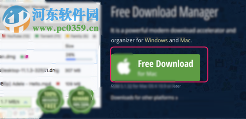 使用fdm下载百度云盘大文件的教程