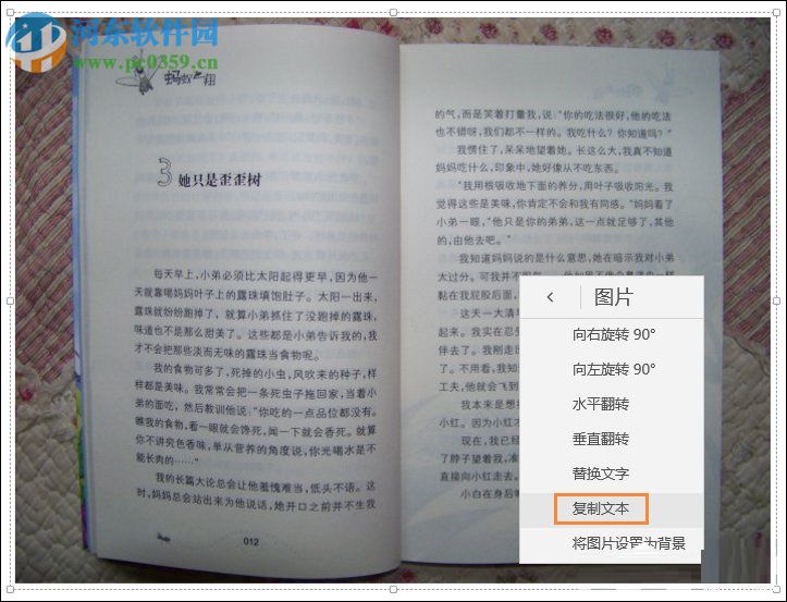 使用OneNote将图片转文字的教程