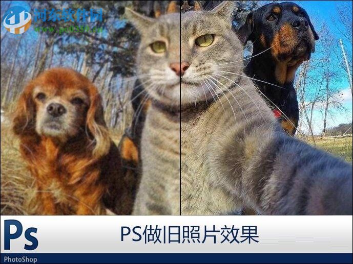 ps做旧照片的方法