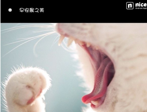 nice好赞自定义保存图片的方法