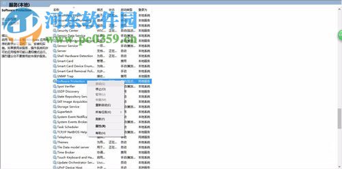 software protection 无法启动的解决方法