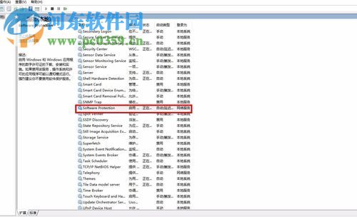 software protection 无法启动的解决方法